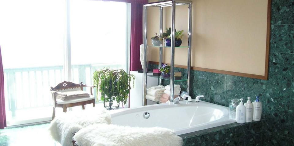 Hair dryer, bathrobes, towels, soap
