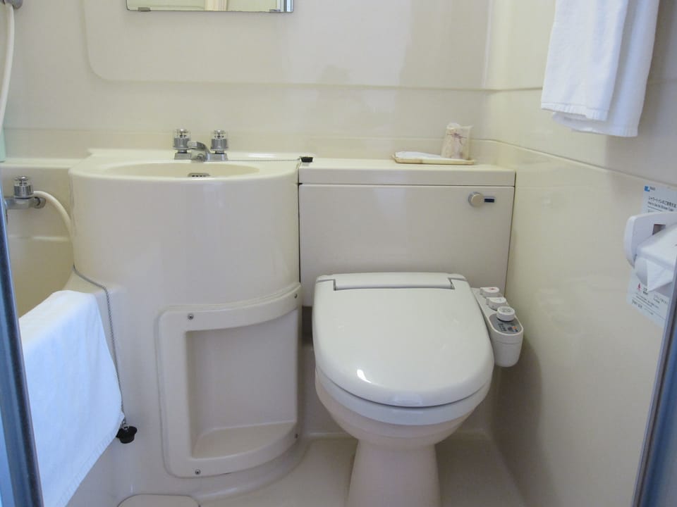 Combined shower/tub, deep soaking tub, free toiletries, hair dryer