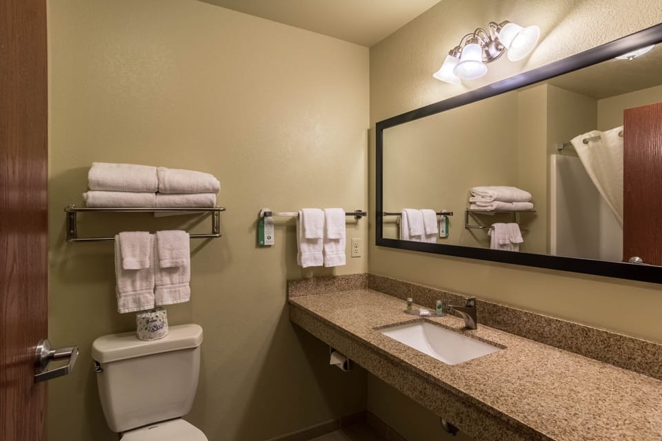 Combined shower/tub, free toiletries, hair dryer, towels