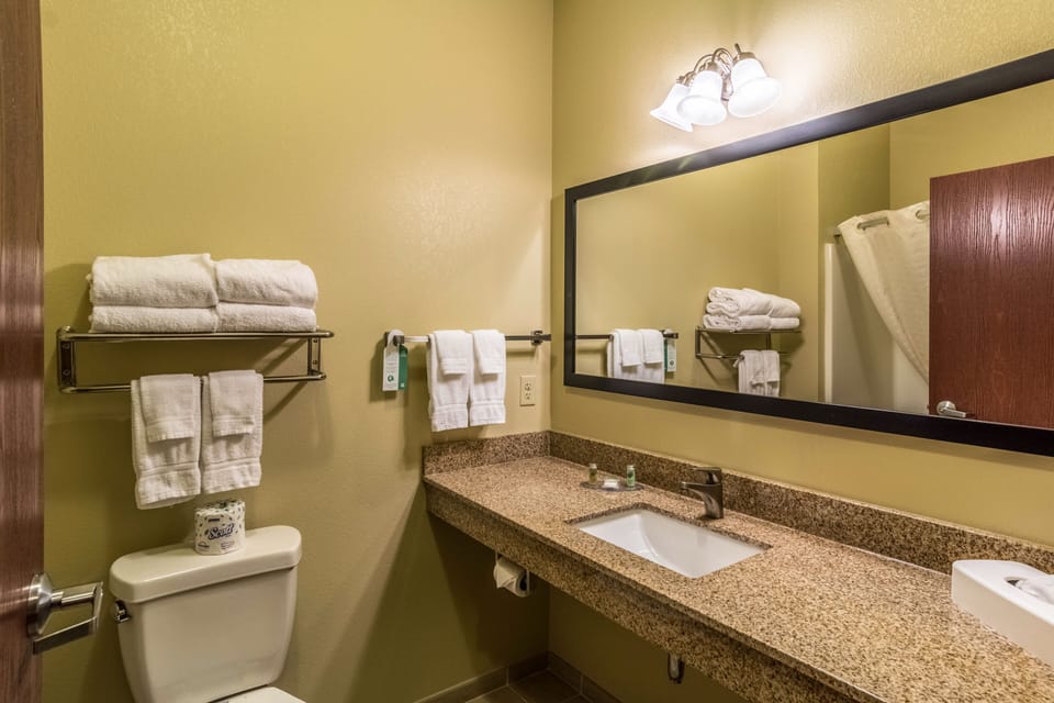 Suite, 1 King Bed, Non Smoking, Jetted Tub | Bathroom | Combined shower/tub, free toiletries, hair dryer, towels