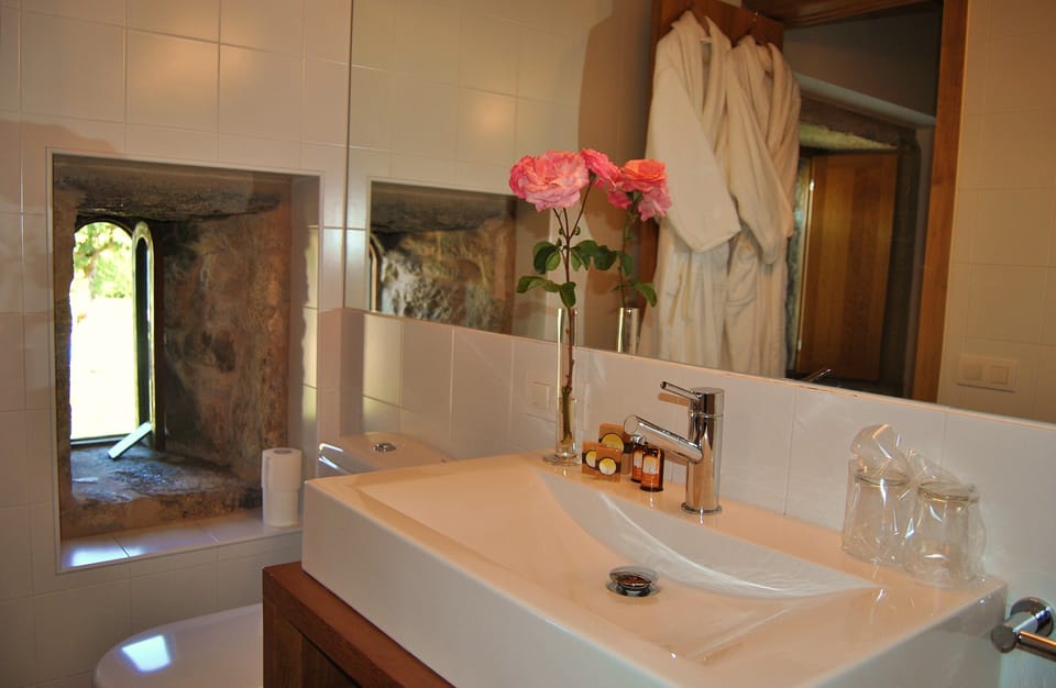 Suite | Bathroom | Free toiletries, towels