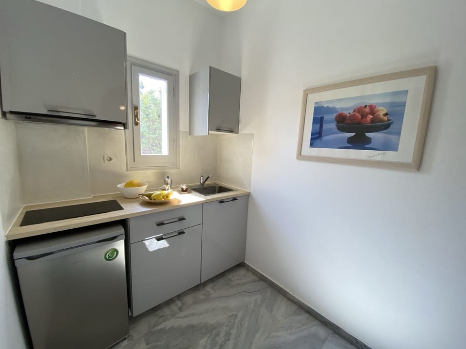 Deluxe Apartment | Private kitchen | Fridge, stovetop, electric kettle, cookware/dishes/utensils
