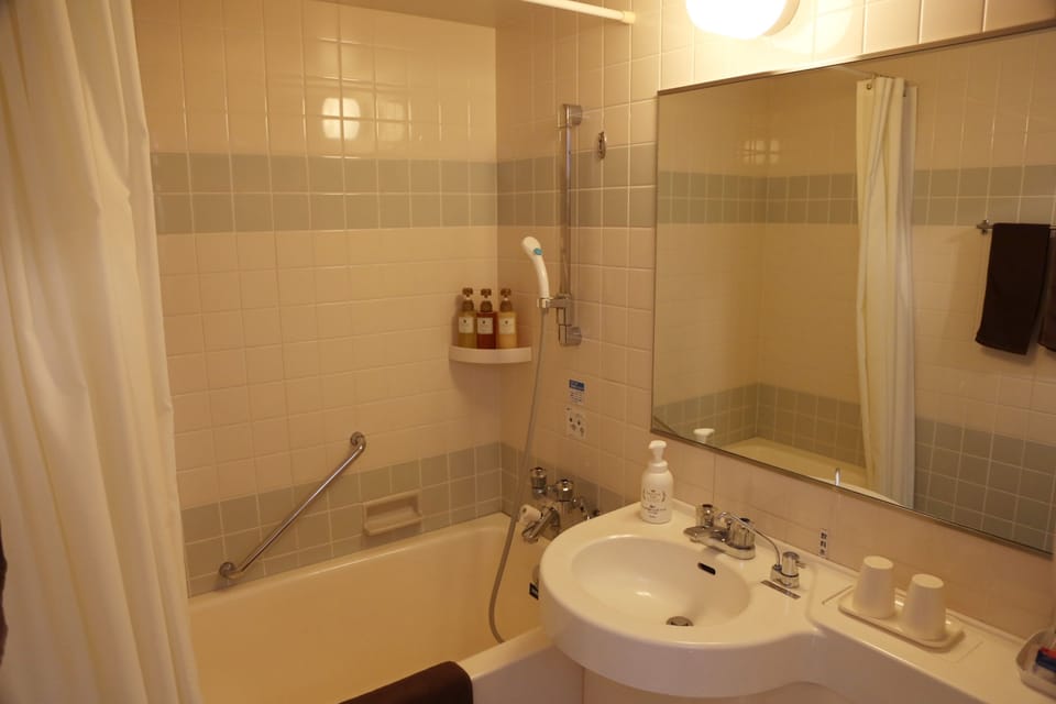 Free toiletries, hair dryer, slippers, electronic bidet