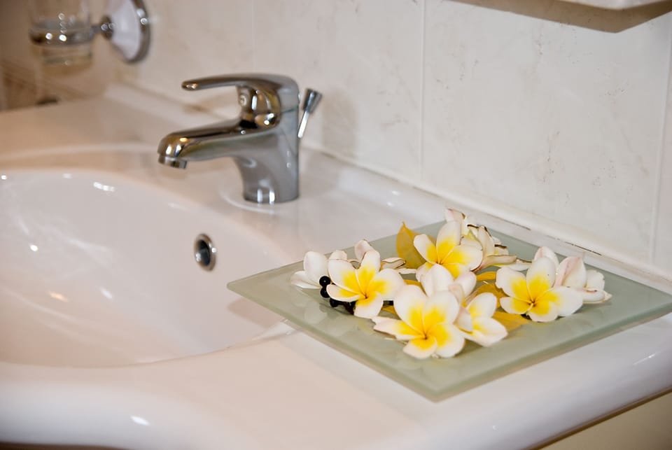 Basic Studio (Triple) | Bathroom | Free toiletries, hair dryer, towels