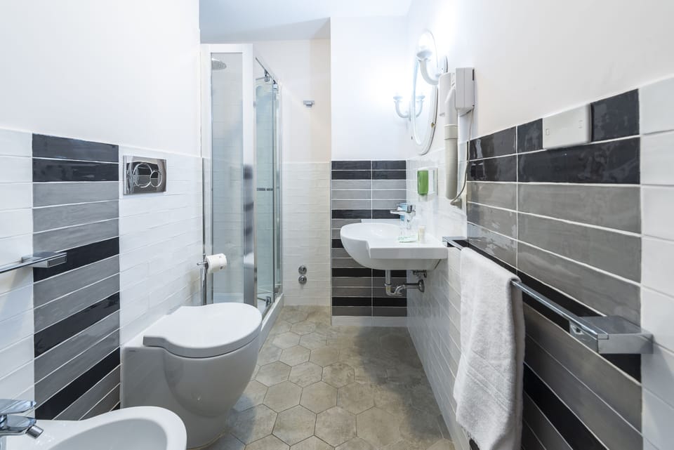 Shower, hair dryer, bidet, towels