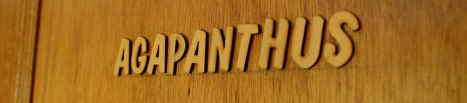 Agapanthus Suite | Premium bedding, minibar, in-room safe, free WiFi