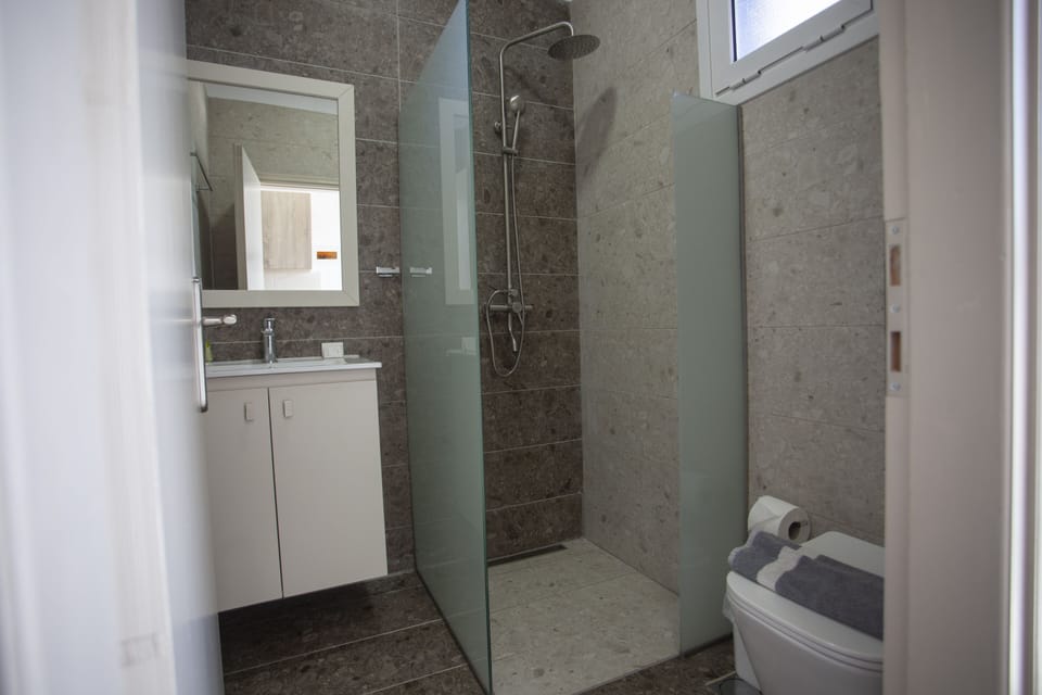 Economy Apartment, 1 Bedroom (Triple) | Bathroom | Shower, free toiletries, hair dryer, bathrobes