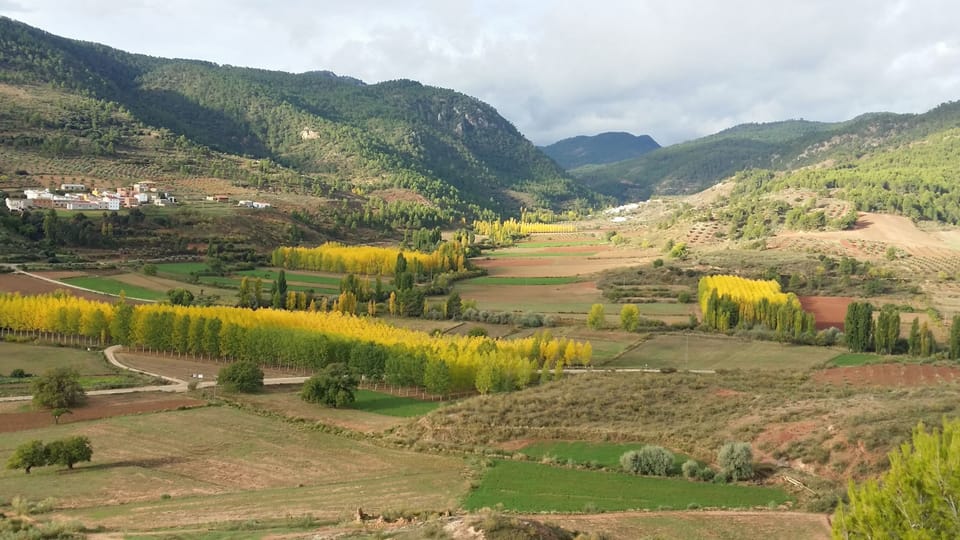Mountain view