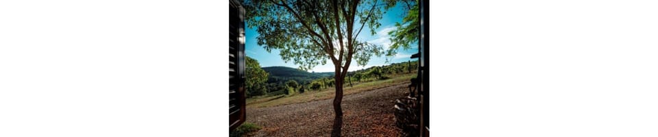 Luxury Apartment, 2 Bedrooms | Garden view