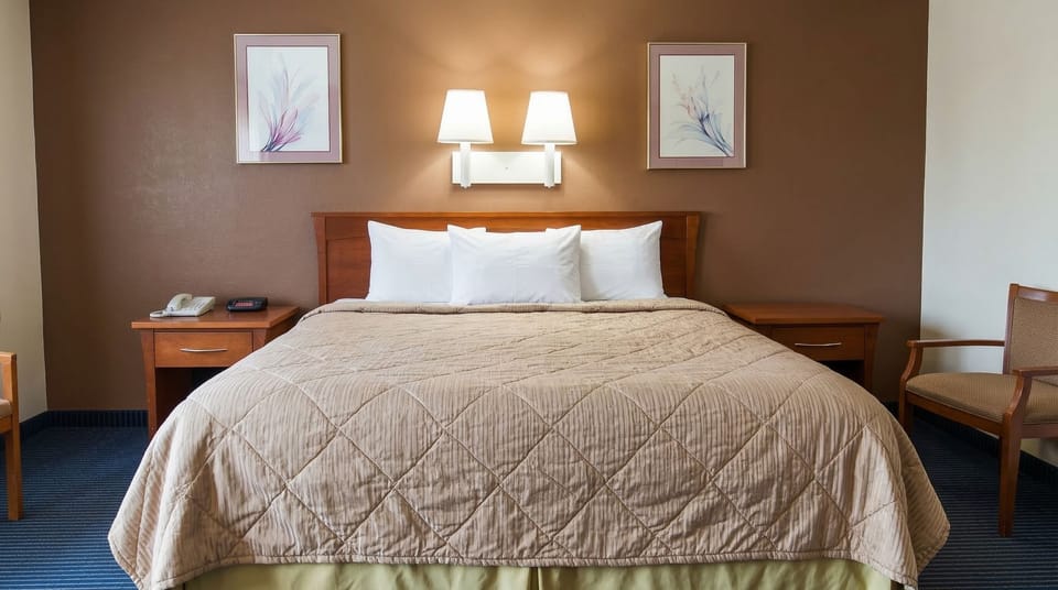 Superior Room, 1 King Bed, Non Smoking | Desk, laptop workspace, iron/ironing board, free WiFi