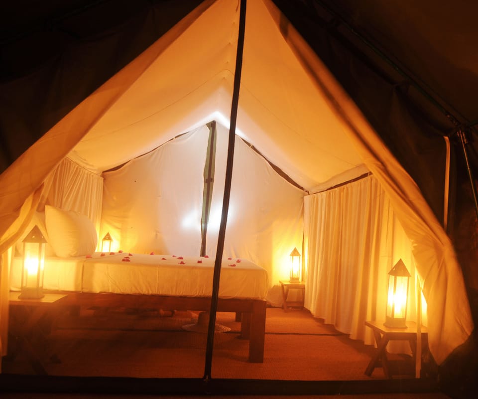 Tent | View from room