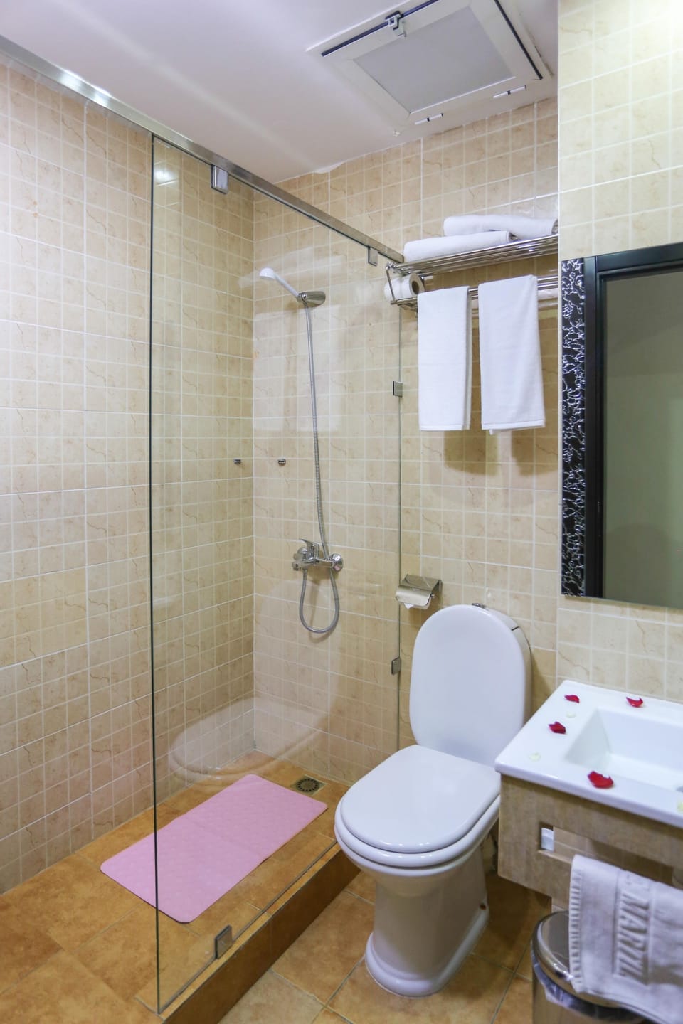 Shower, free toiletries, hair dryer, bidet
