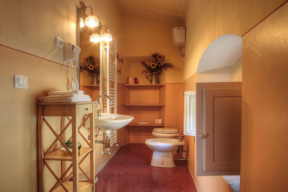 Deluxe Suite | Bathroom | Shower, free toiletries, hair dryer, bidet