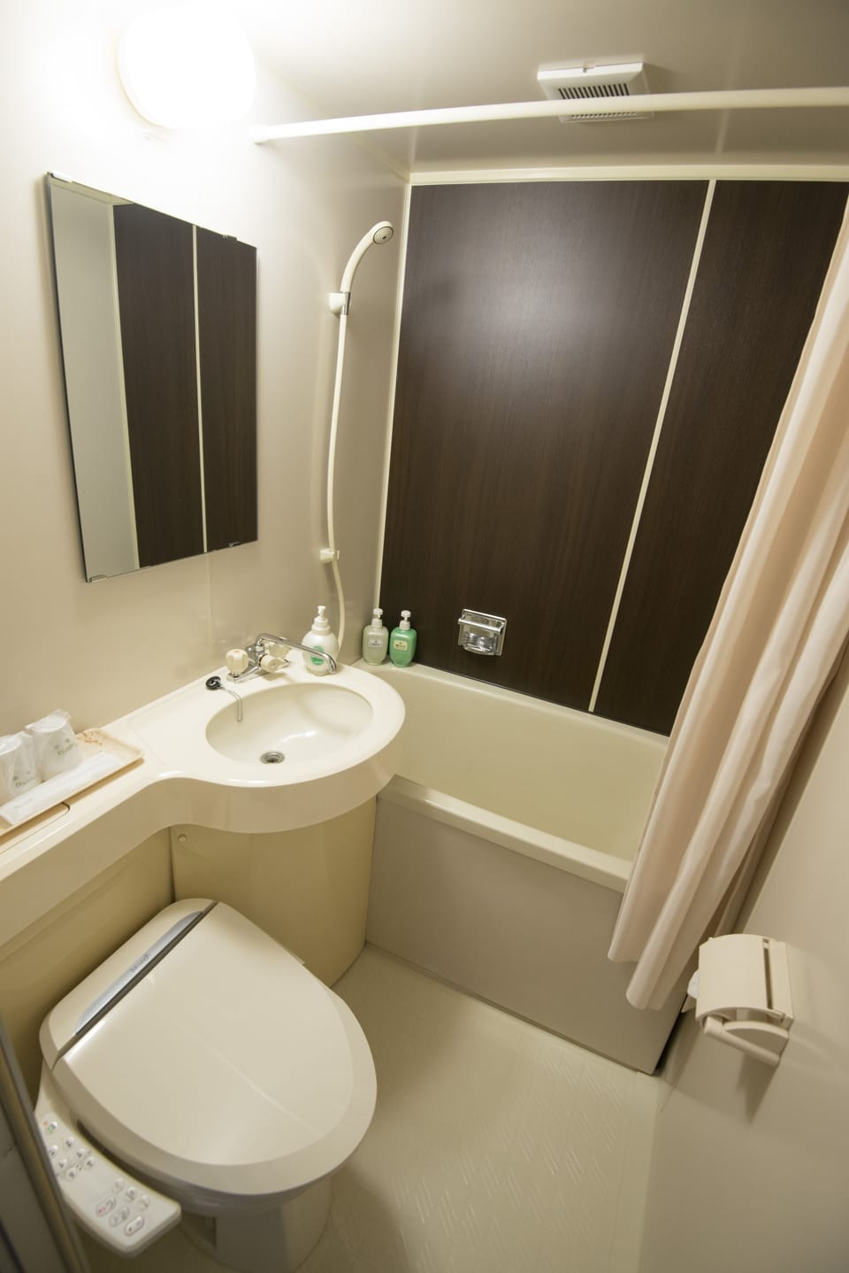 Combined shower/tub, hair dryer, slippers, bidet