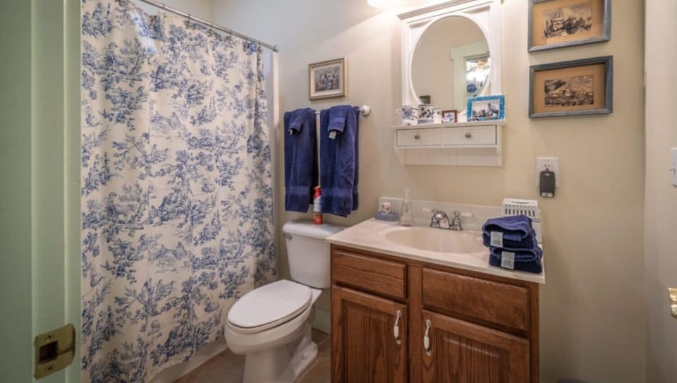 Standard Double Room, Ensuite (The Blue Room)