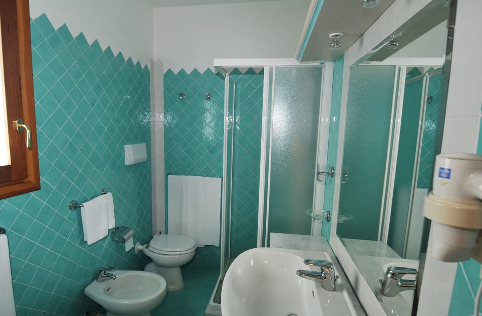 Shower, free toiletries, hair dryer, bidet