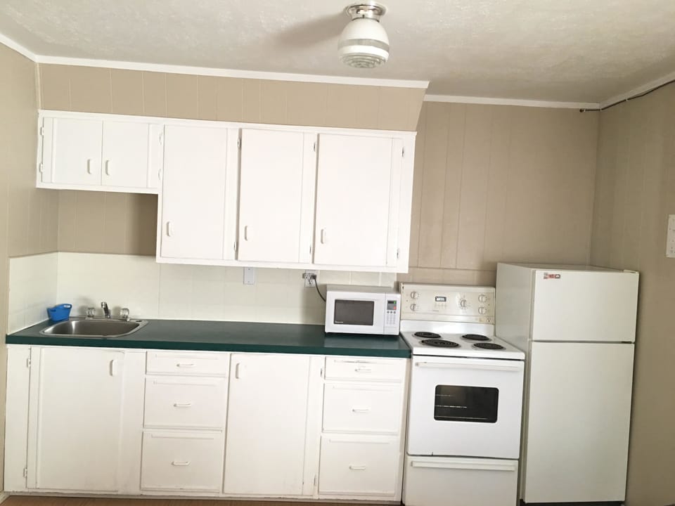 Economy Room, 1 Queen Bed, Kitchenette | Private kitchen | Coffee/tea maker, fridge, microwave (on request)