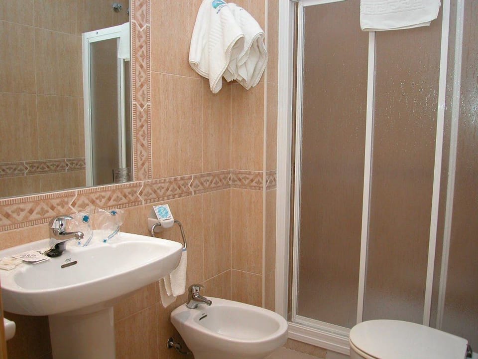 Hair dryer, bidet, towels