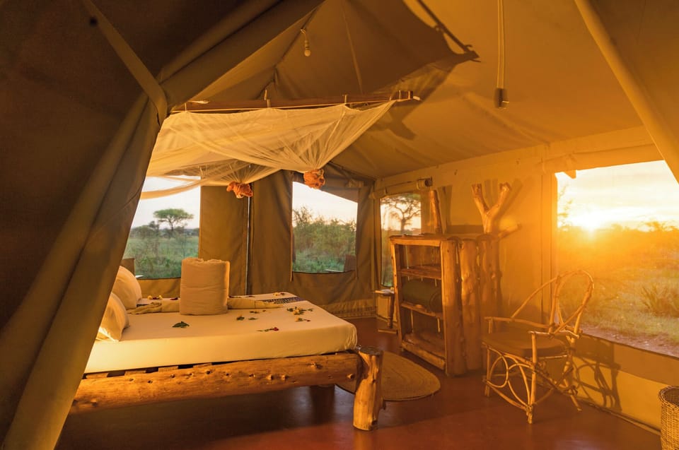 Deluxe Tent | In-room safe, desk