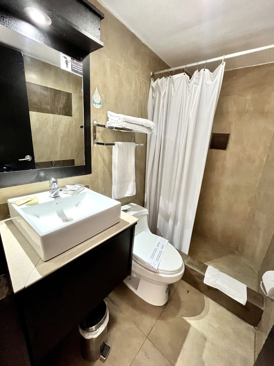 Premium Single Room | Bathroom | Shower, free toiletries, hair dryer (on request), towels