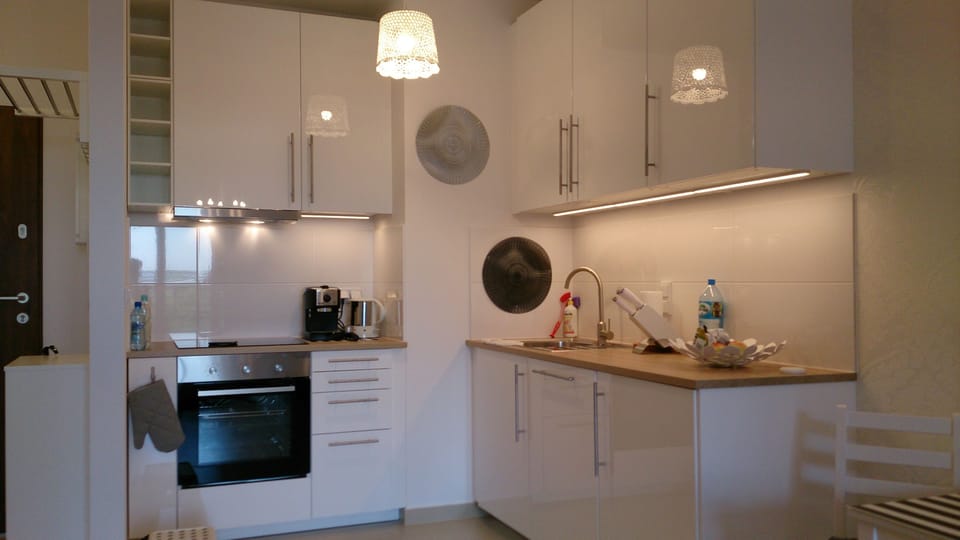 Apartment, 1 Bedroom, Park View | Private kitchen | Fridge, oven, stovetop, dishwasher