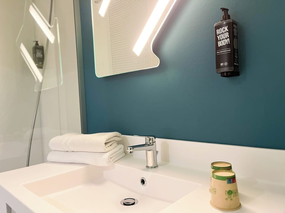 Double Room | Bathroom | Shower, rainfall showerhead, eco-friendly toiletries, hair dryer