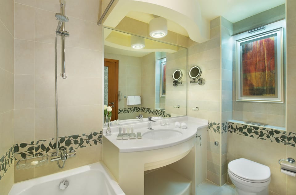 Combined shower/tub, free toiletries, hair dryer, bathrobes