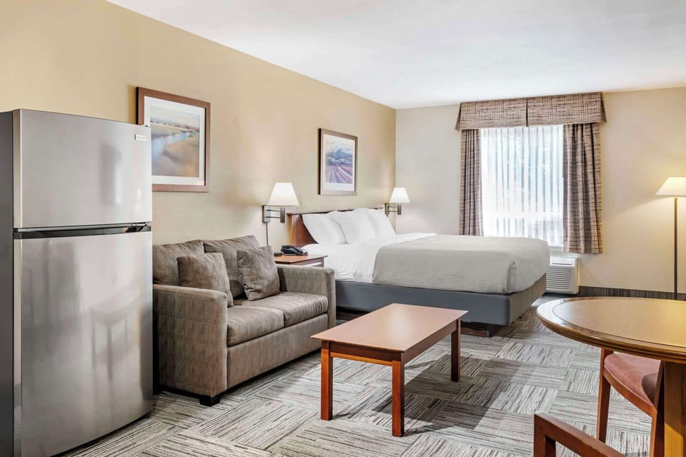 Room, 1 King Bed, Non Smoking | Pillowtop beds, blackout drapes, iron/ironing board