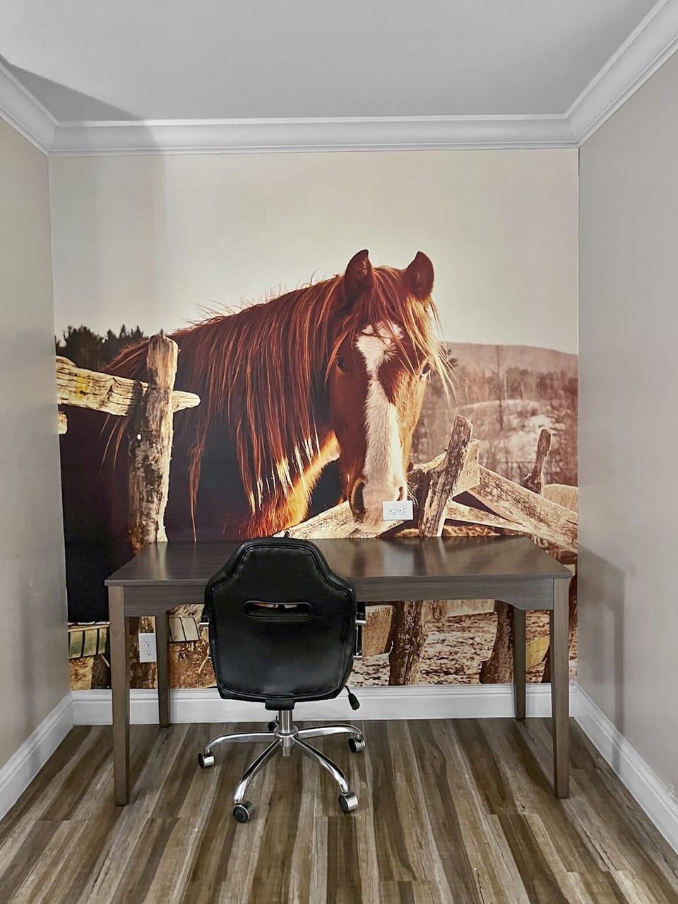 Standard Room, 1 Queen Bed, Kitchen | Desk, laptop workspace, blackout drapes, iron/ironing board