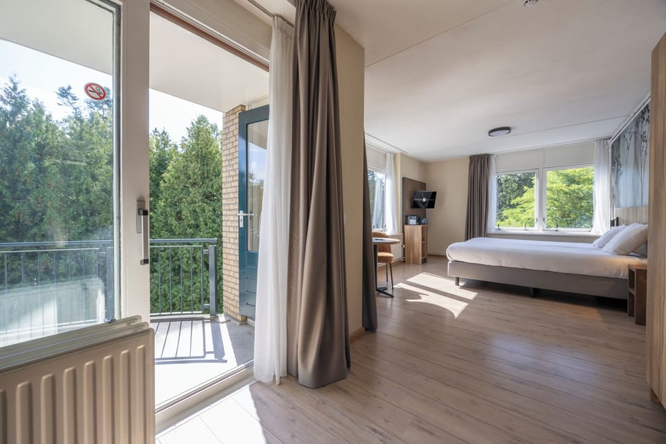 Luxury double room with balcony | Hypo-allergenic bedding, in-room safe, desk, cribs/infant beds