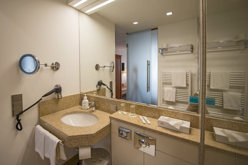 Premium Double Room | Bathroom | Shower, free toiletries, hair dryer, bathrobes