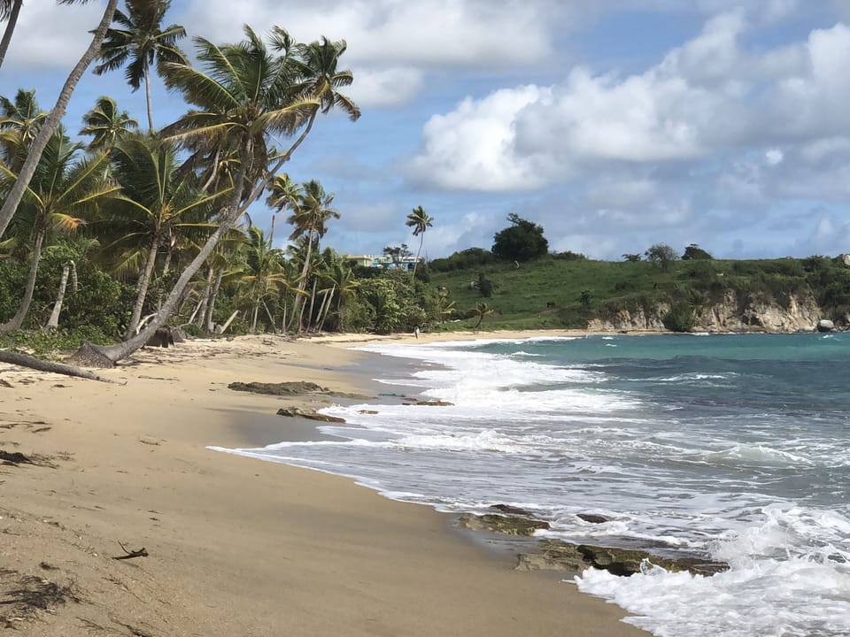 Blue Horizon Boutique Resort - Adults Only Hotel in Esperanza
