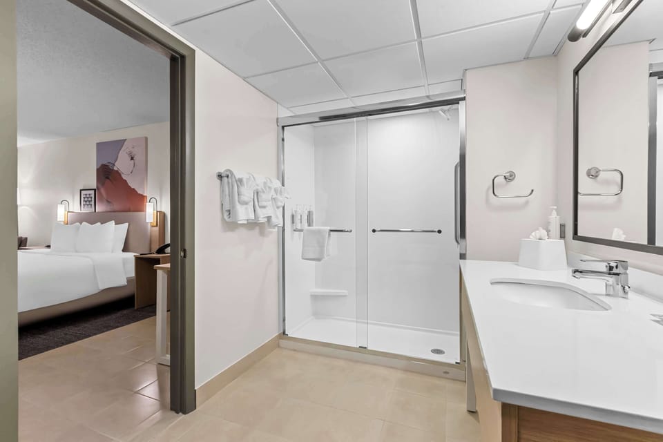 Studio, 1 King Bed | Bathroom shower