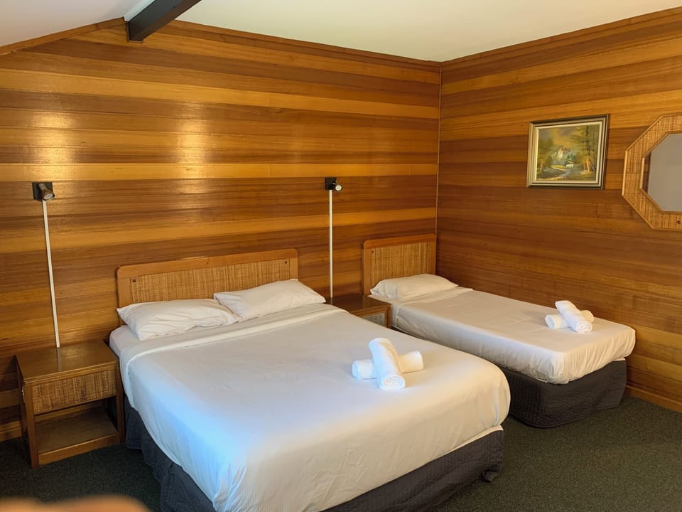 Twin Room | Desk, laptop workspace, iron/ironing board, WiFi