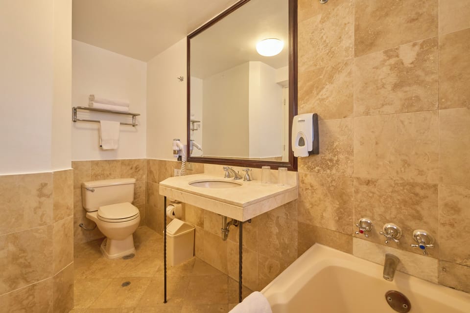 Traditional Room, 1 Twin Bed | Bathroom | Shower, free toiletries, hair dryer, towels