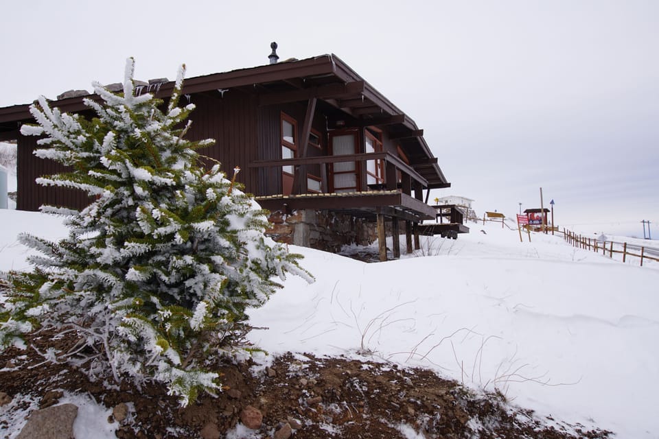 Family Bungalow | Street view