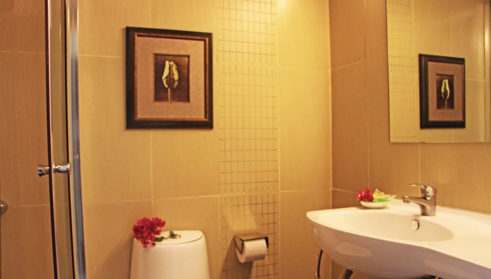 Shower, free toiletries, hair dryer, towels