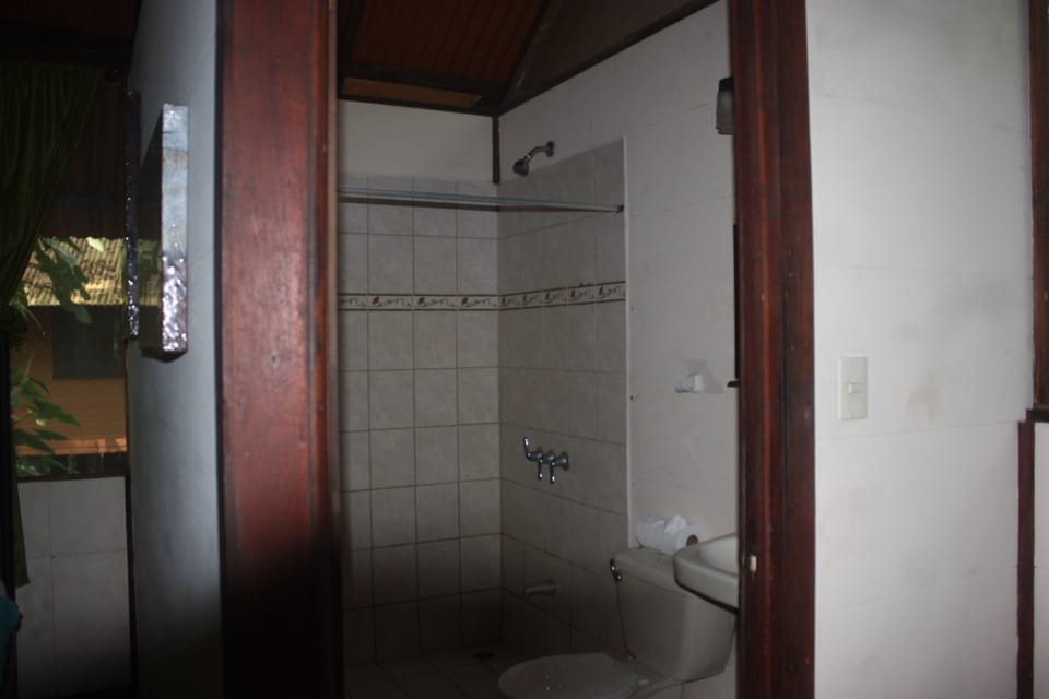 Room | Bathroom | Shower, rainfall showerhead, free toiletries, towels