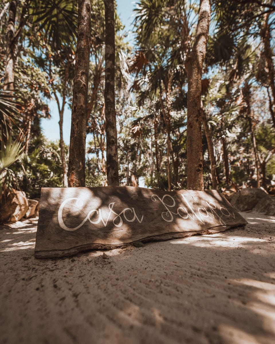 Casa Palapa | In-room safe, individually decorated, individually furnished, free WiFi