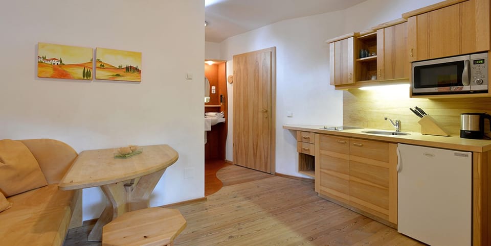 Apartment (Kleines Bernstein) | Private kitchenette | Full-size fridge, stovetop, cookware/dishes/utensils