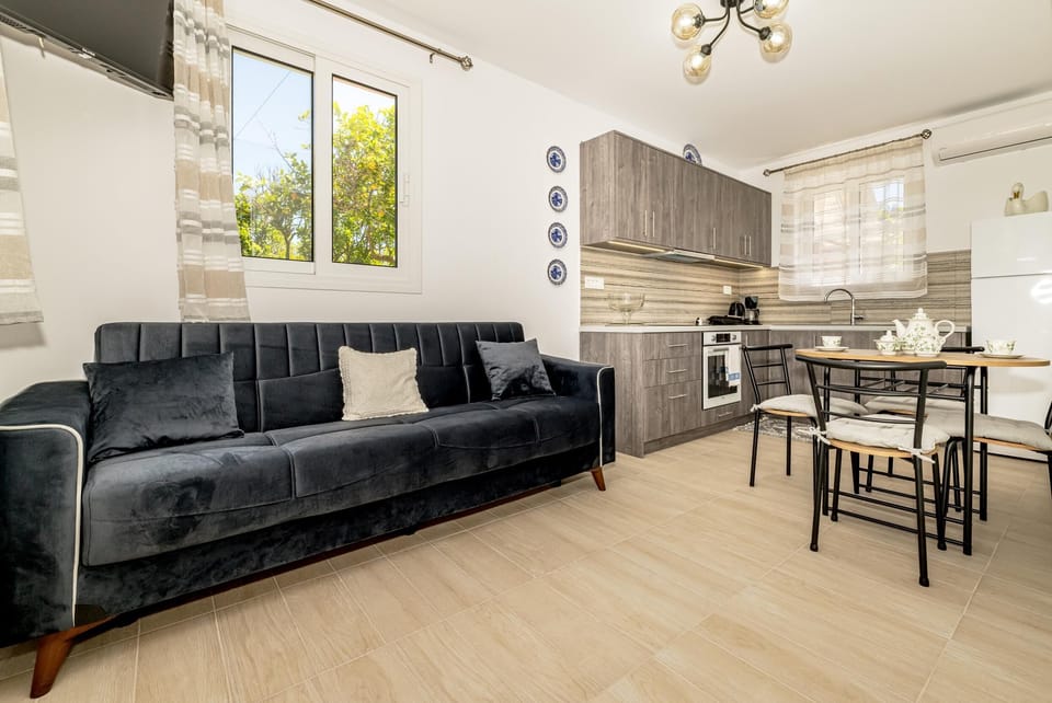 Apartment, 1 Bedroom, Terrace | Living area | Flat-screen TV