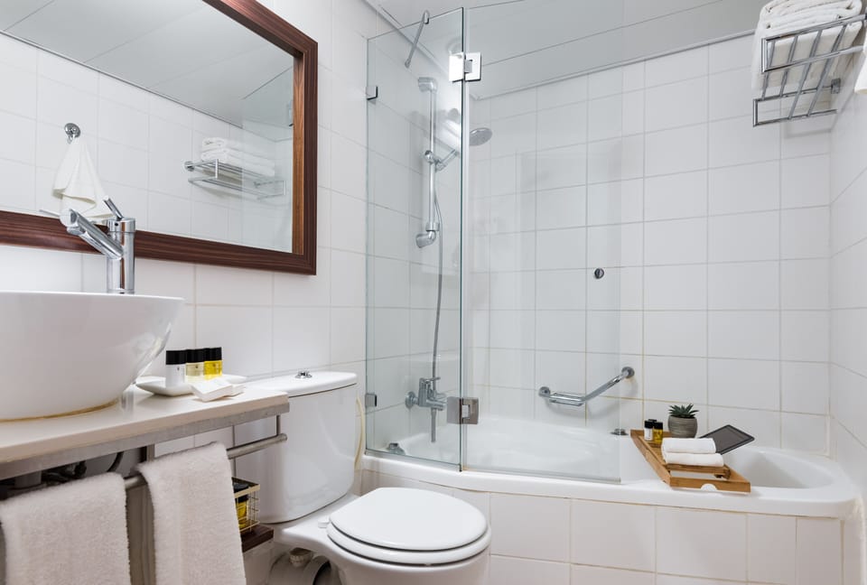 Combined shower/tub, free toiletries, hair dryer, towels