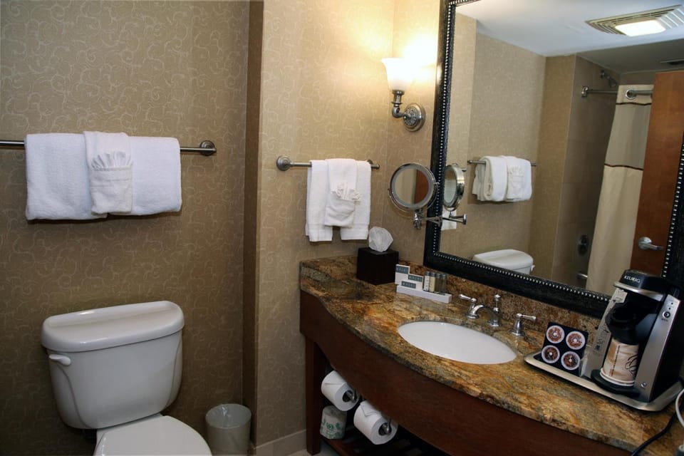 Combined shower/tub, free toiletries, hair dryer, towels