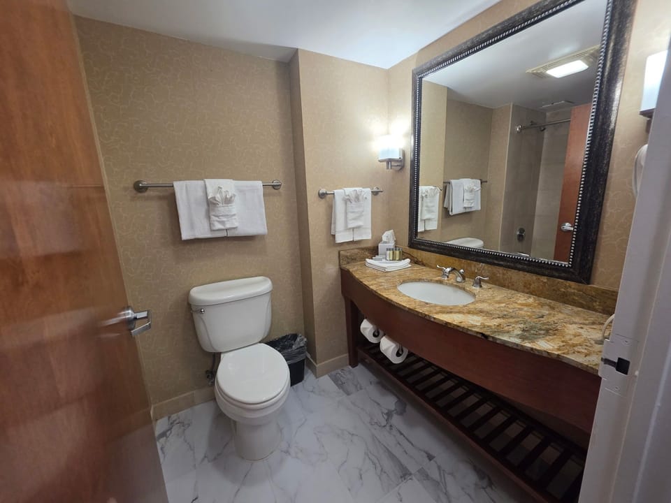 Standard Room, 1 King Bed | Bathroom | Combined shower/tub, free toiletries, hair dryer, towels