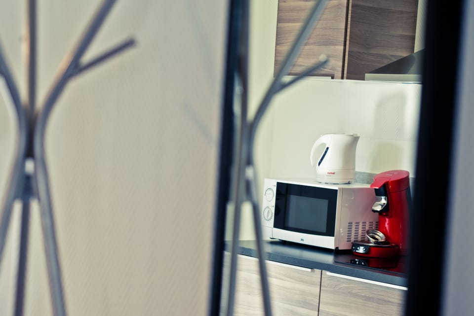 Classic Apartment, 1 Bedroom, Kitchen, City View | Premium bedding, soundproofing, iron/ironing board, free WiFi