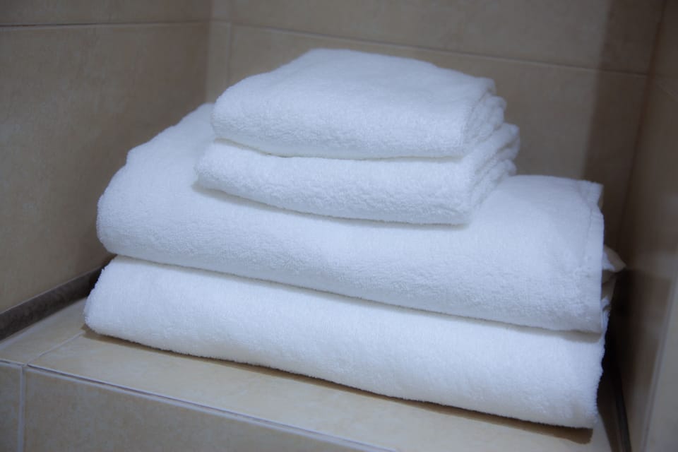 Double Room | Bathroom | Shower, free toiletries, towels