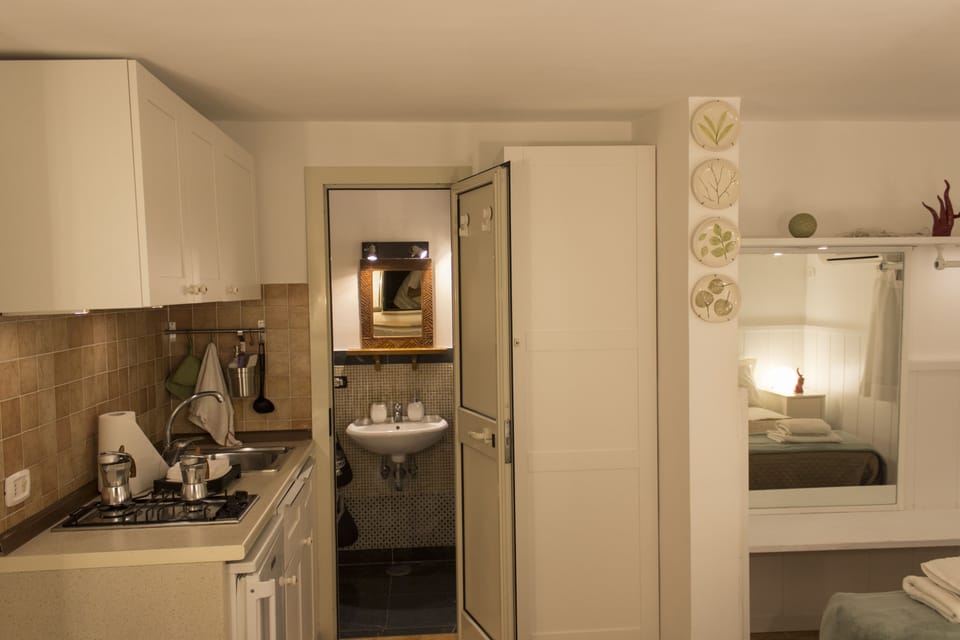 Panoramic Studio, 1 Double Bed, Non Smoking, Terrace | Private kitchenette | Shared fridge, cookware/dishes/utensils