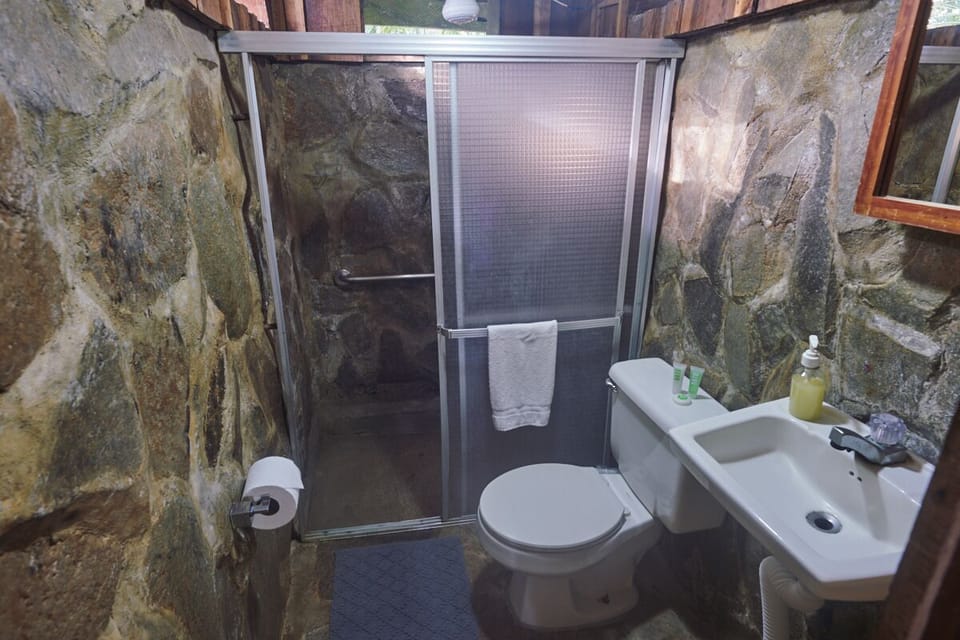 Family Room | Bathroom | Shower, towels, soap, toilet paper