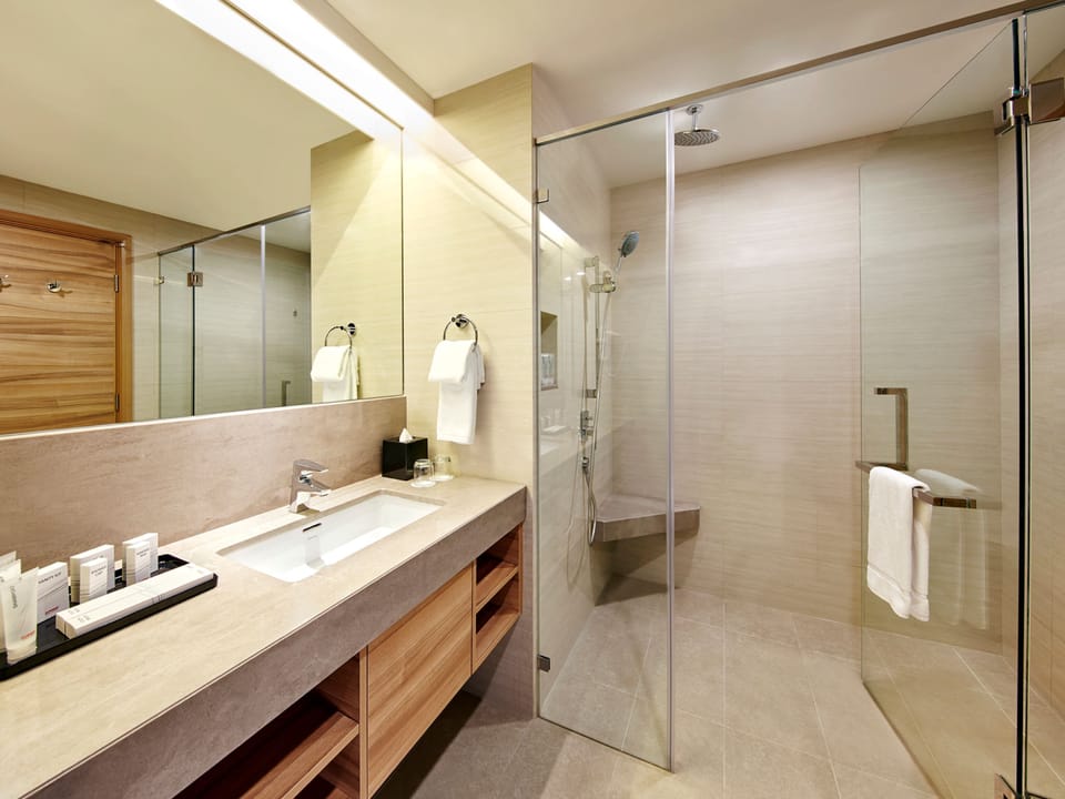 Shower, free toiletries, hair dryer, bathrobes
