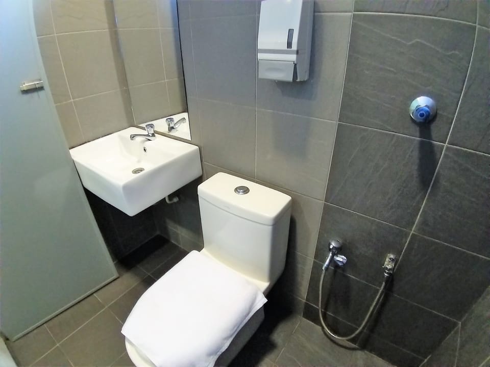 Twin Room | Bathroom | Shower, free toiletries, towels